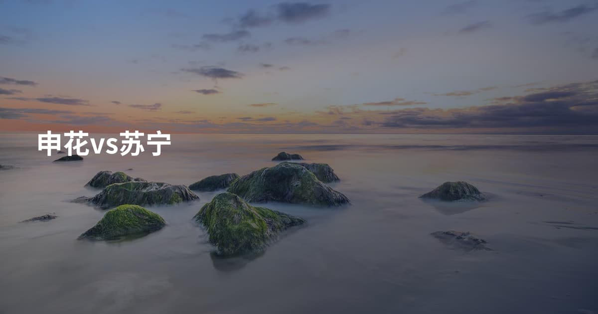 申花vs苏宁