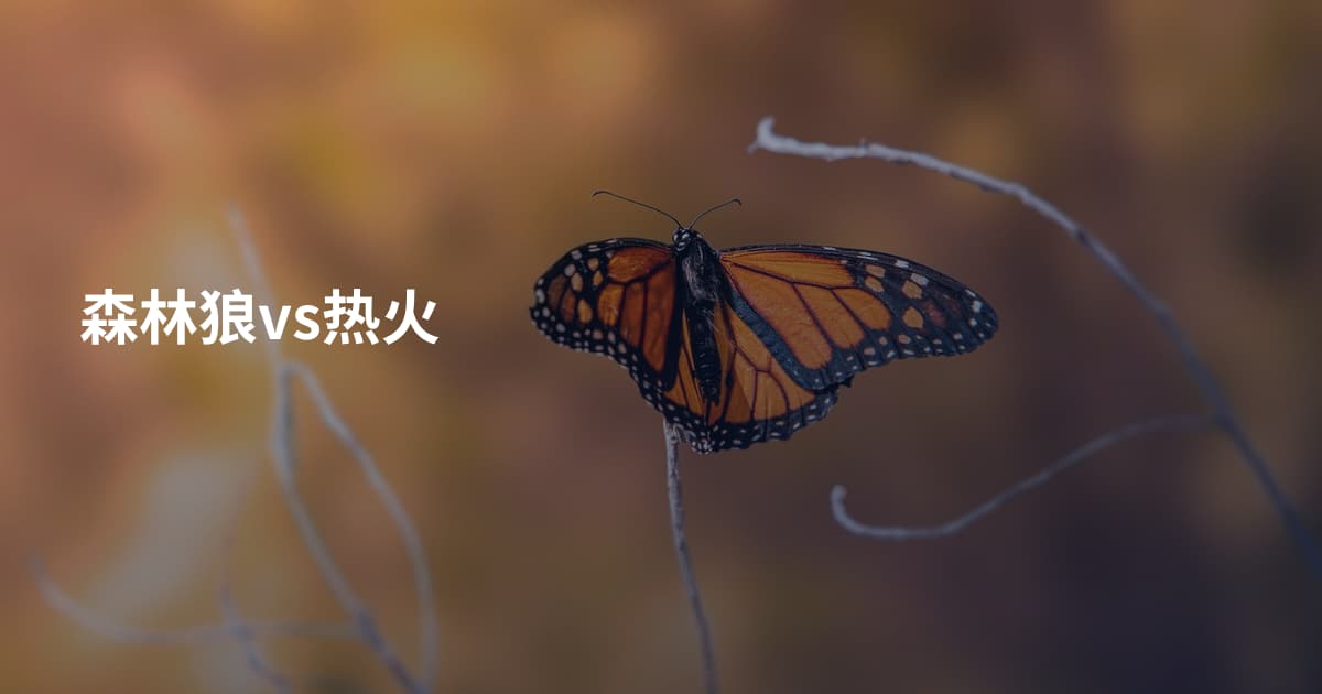 森林狼vs热火