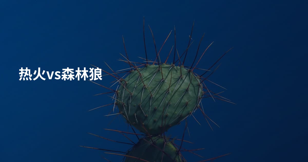 热火vs森林狼