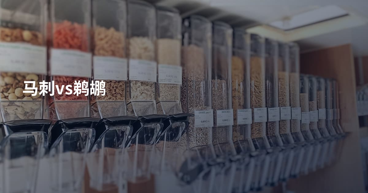 马刺vs鹈鹕