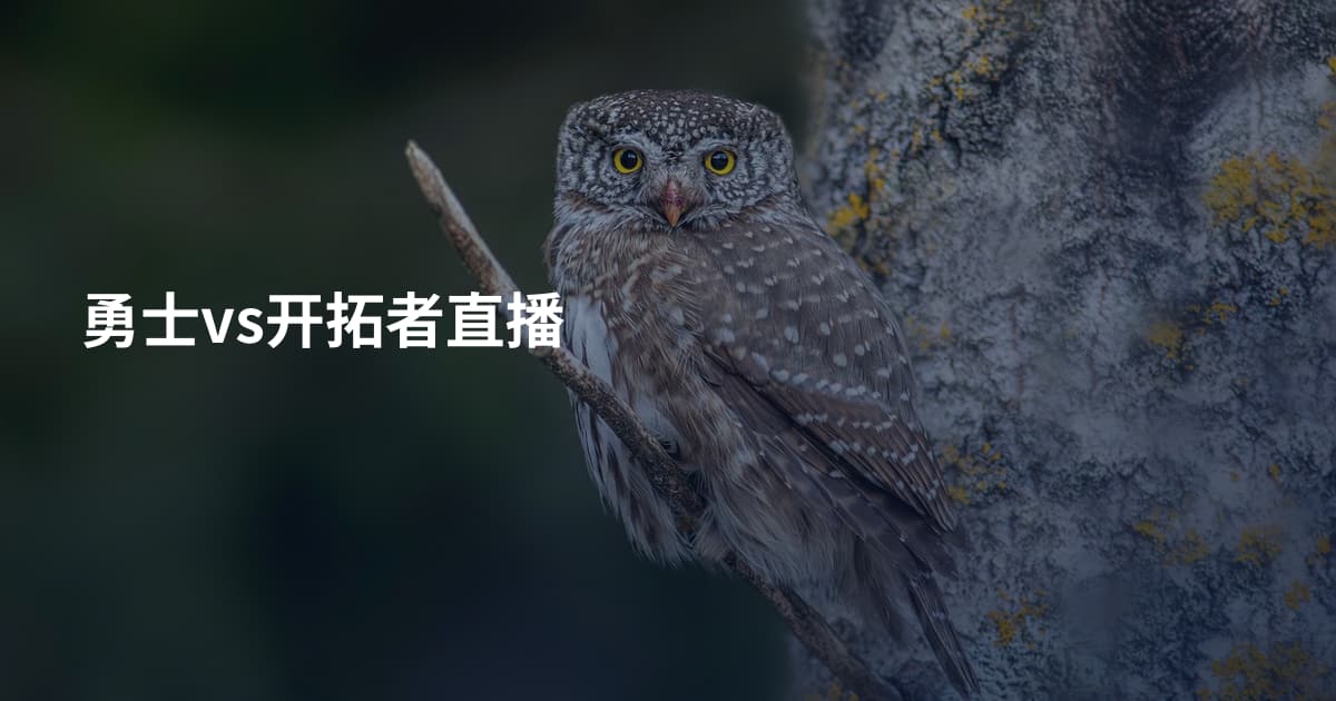 勇士vs开拓者直播
