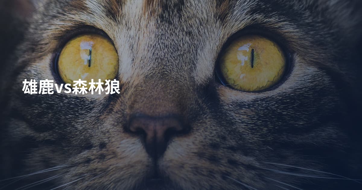雄鹿vs森林狼