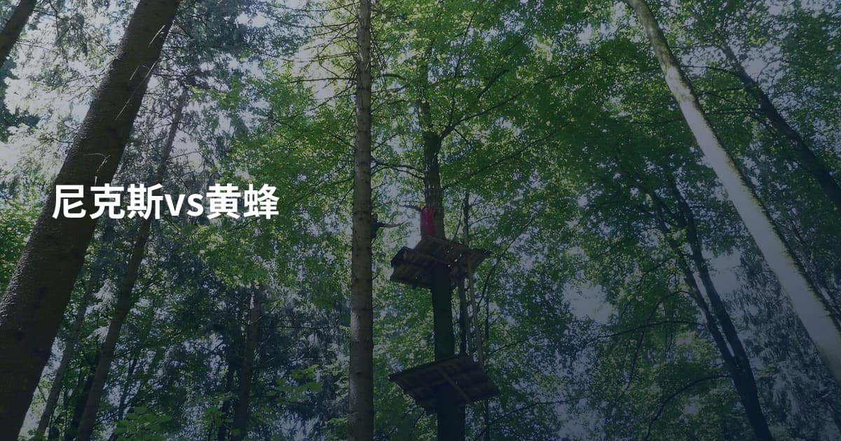尼克斯vs黄蜂