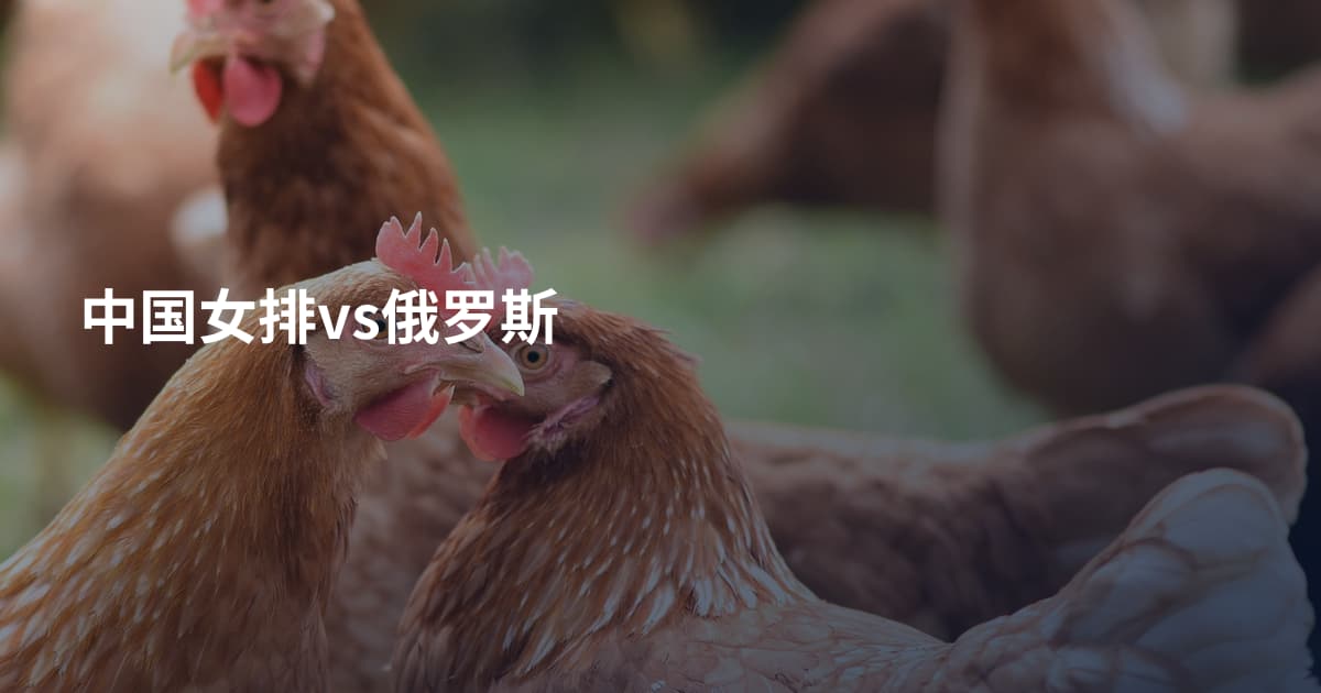中国女排vs俄罗斯