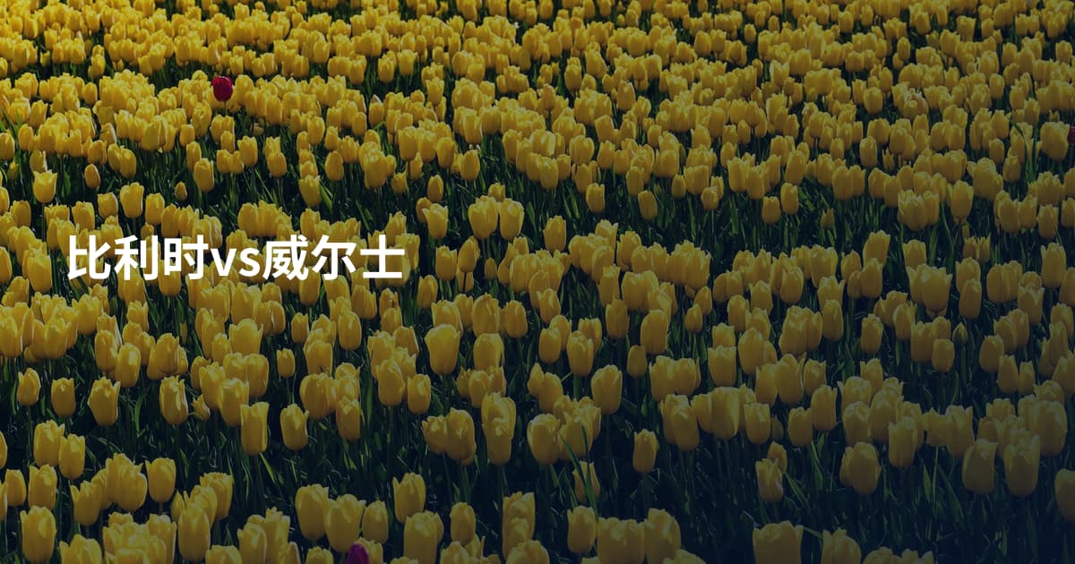 比利时vs威尔士