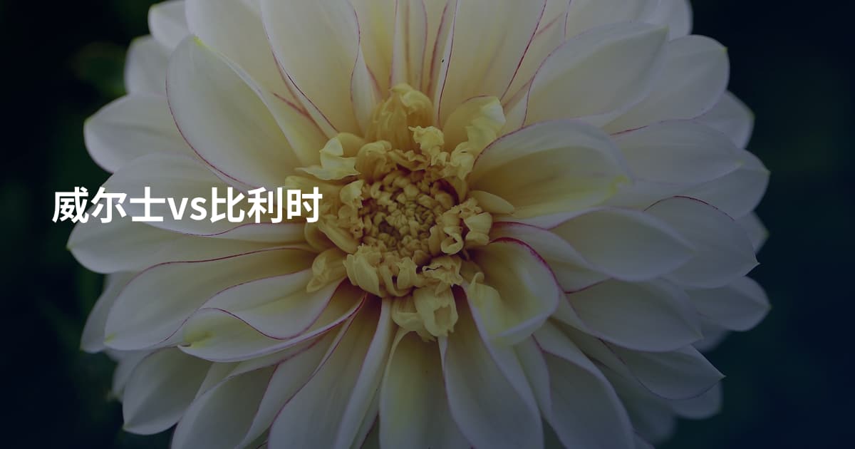 威尔士vs比利时