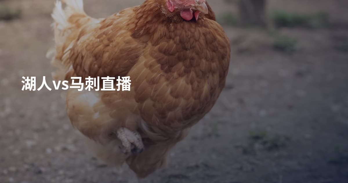 湖人vs马刺直播