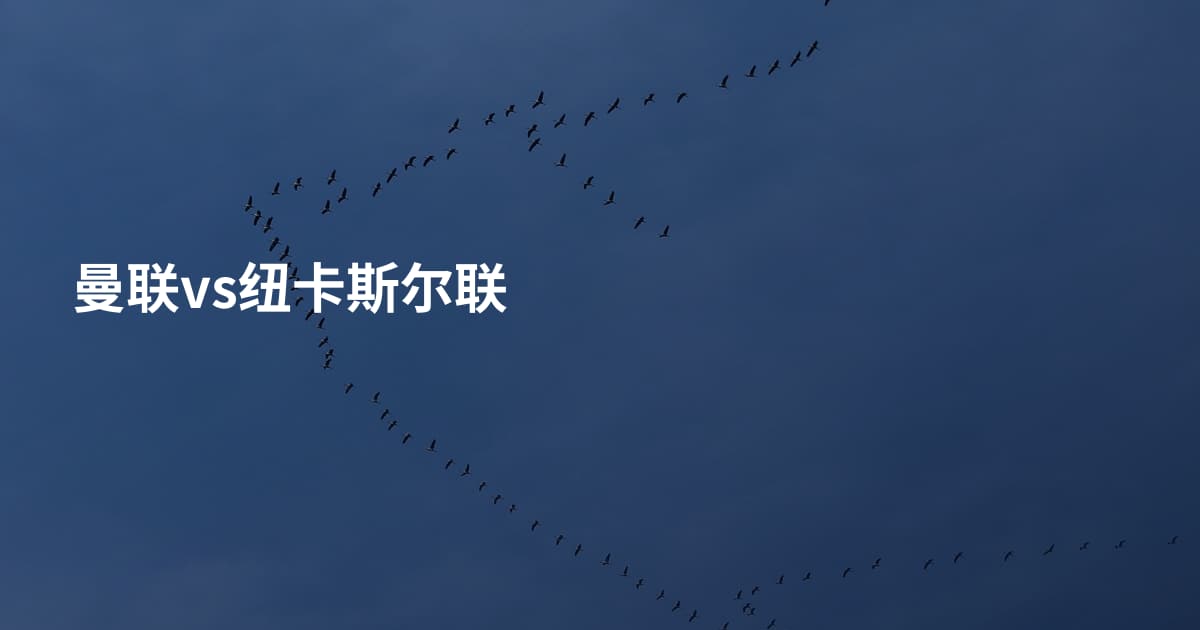 曼联vs纽卡斯尔联
