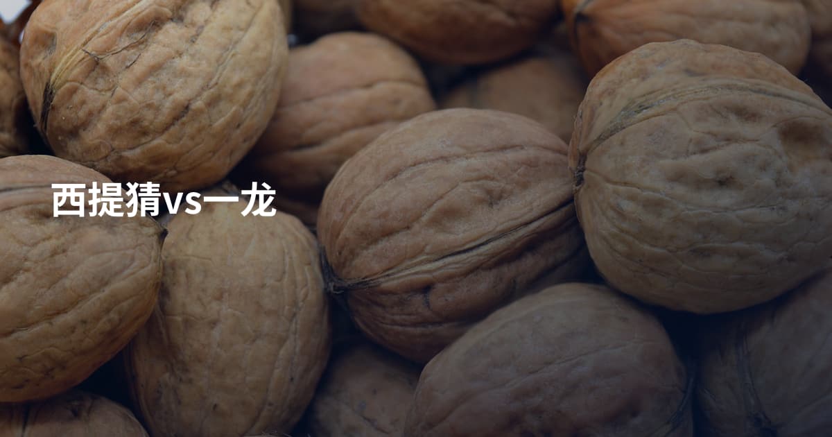 西提猜vs一龙