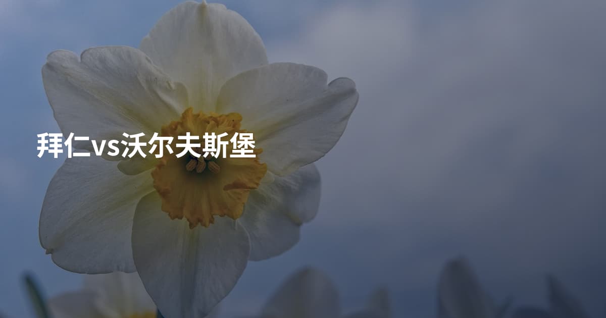 拜仁vs沃尔夫斯堡
