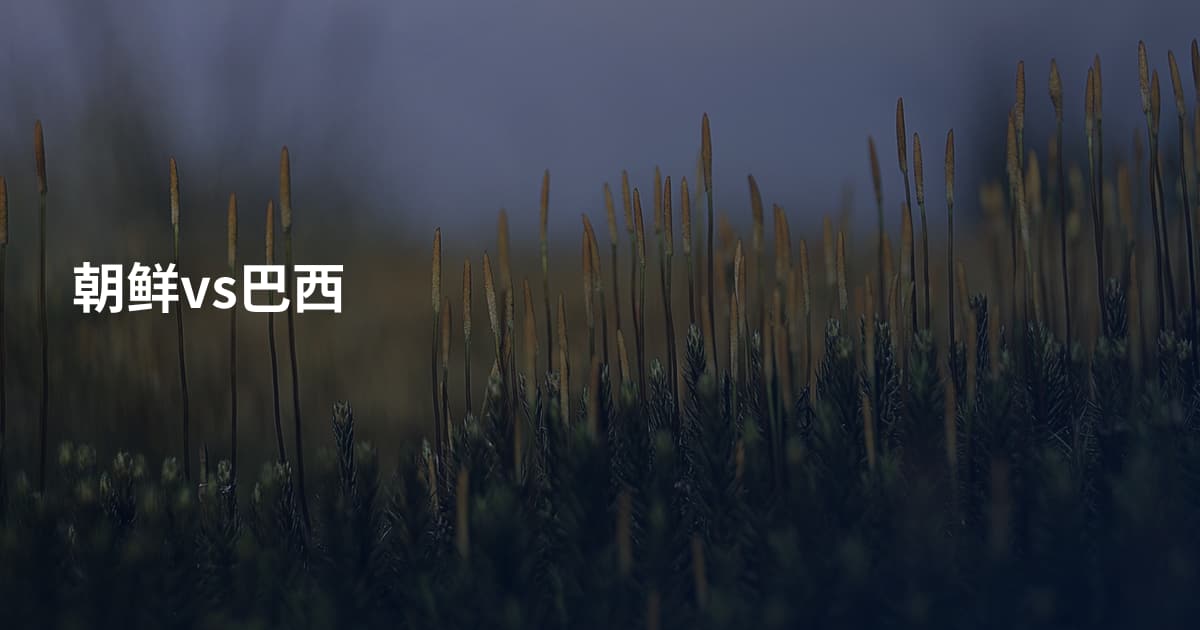 朝鲜vs巴西