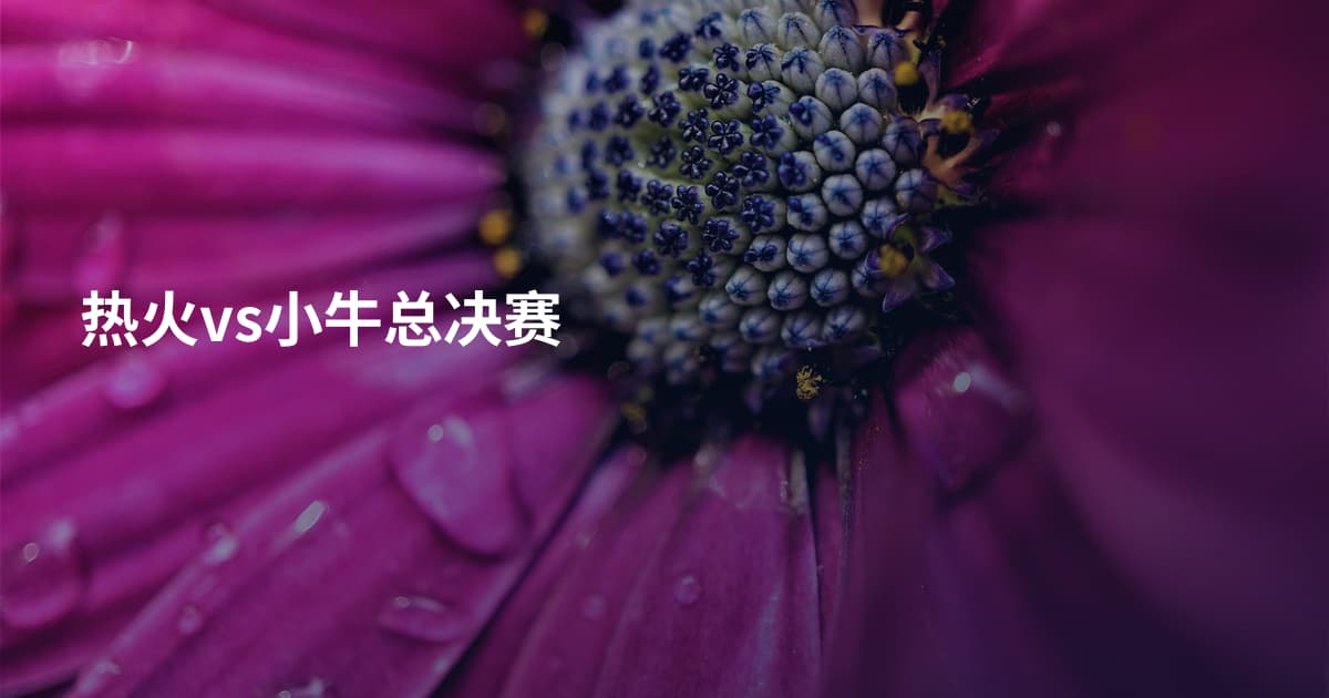 热火vs小牛总决赛