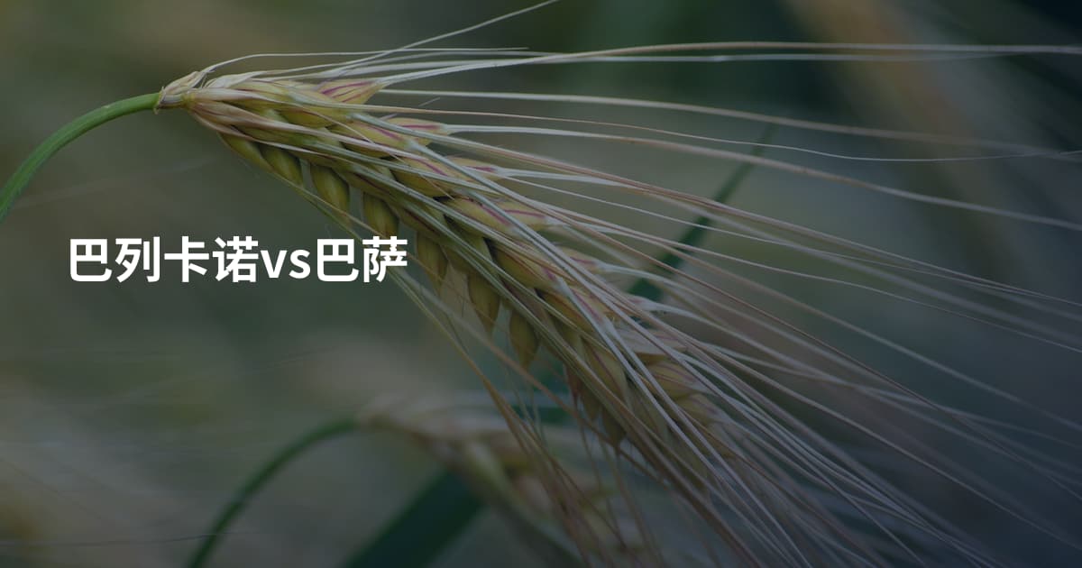 巴列卡诺vs巴萨