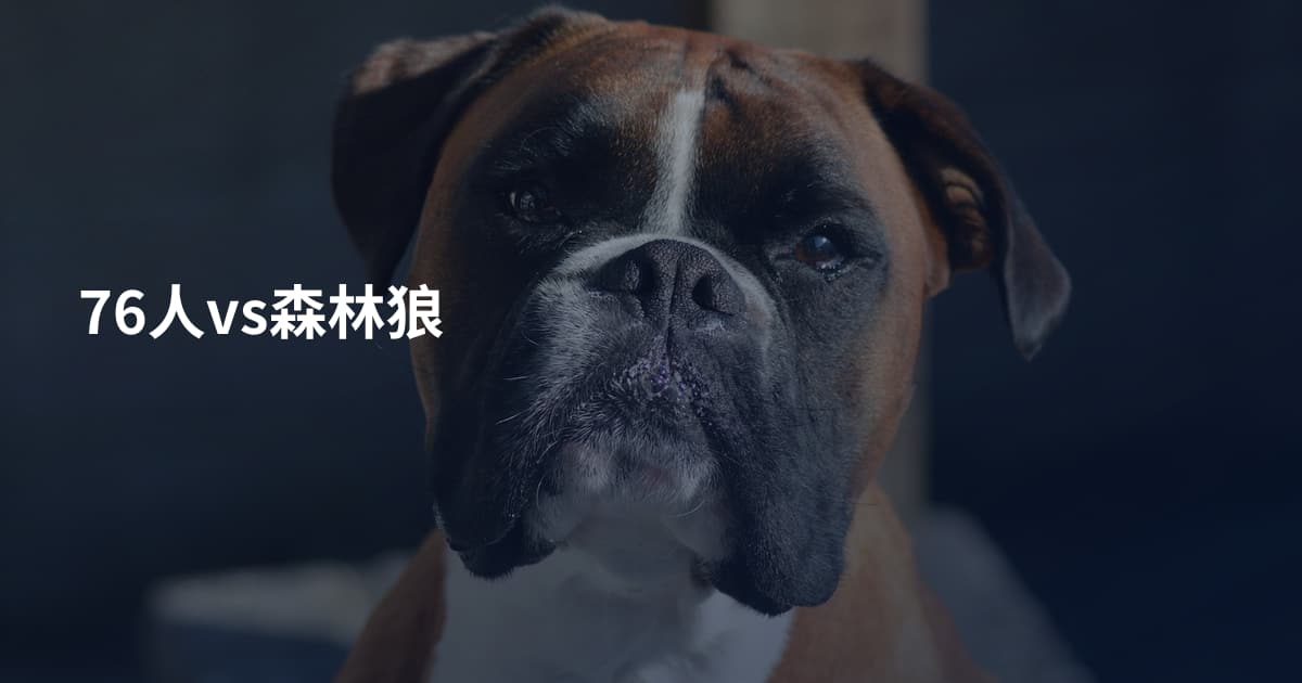 76人vs森林狼
