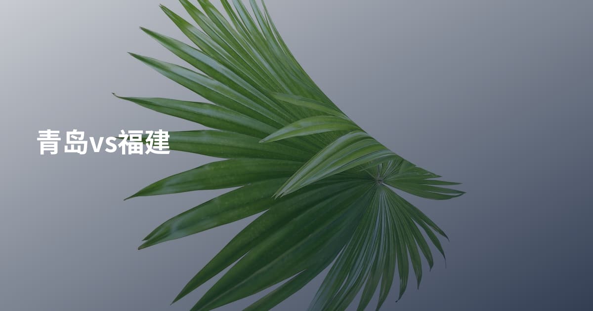 青岛vs福建