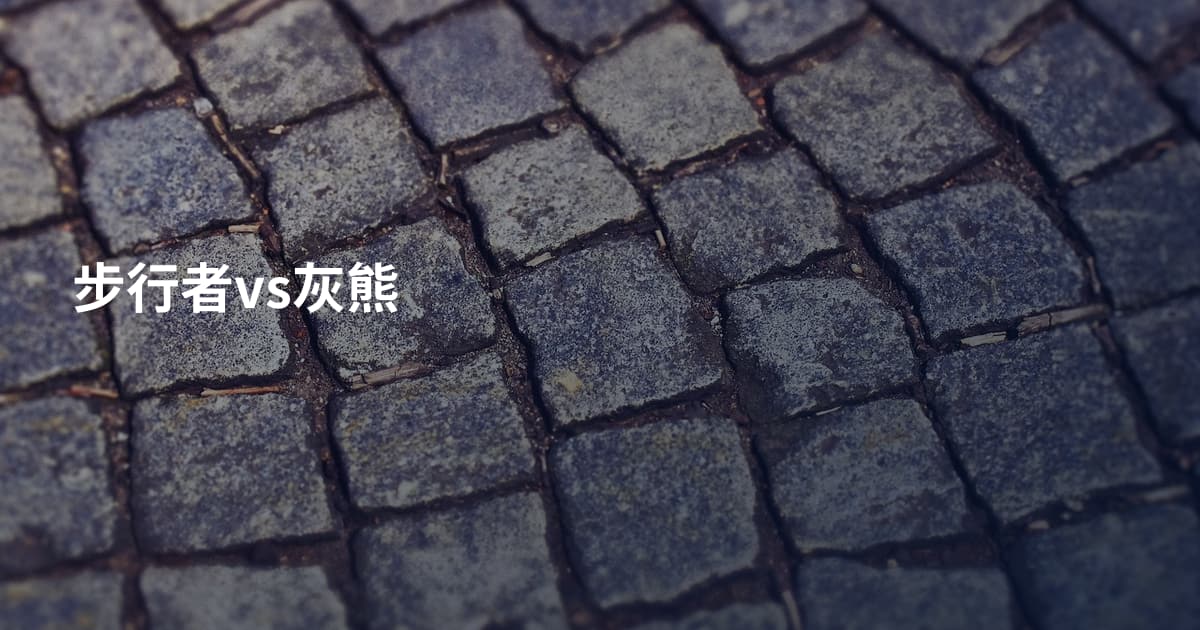 步行者vs灰熊