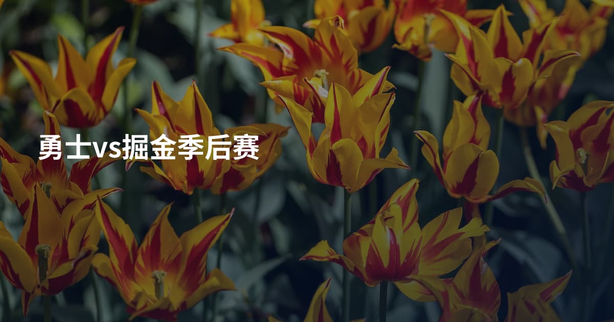 勇士vs掘金季后赛