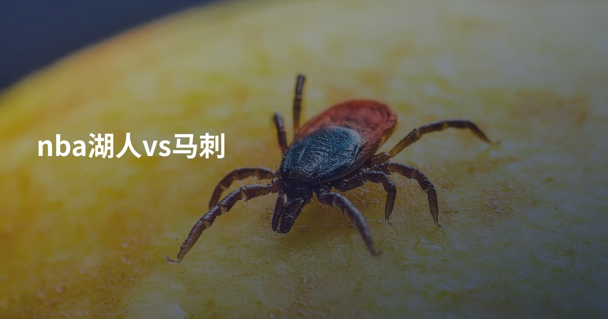 nba湖人vs马刺