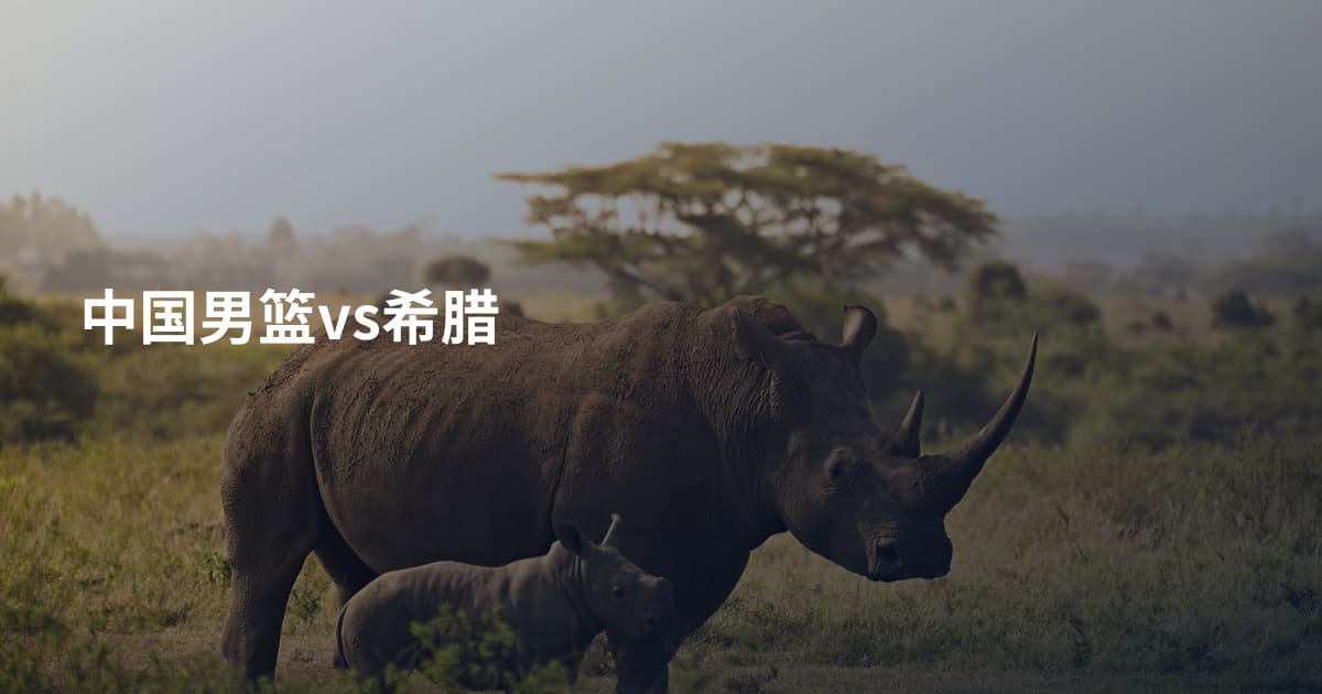 中国男篮vs希腊