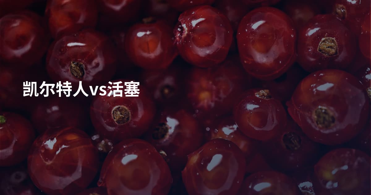 凯尔特人vs活塞