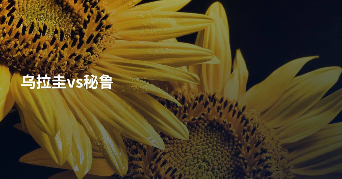 乌拉圭vs秘鲁