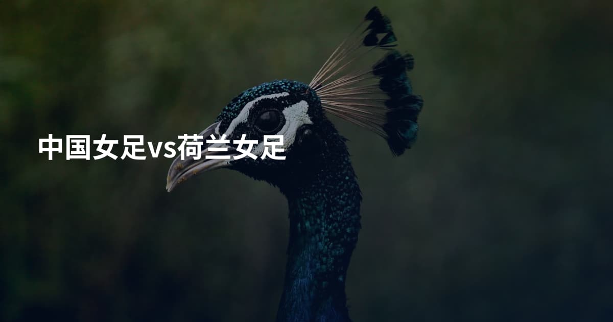 中国女足vs荷兰女足