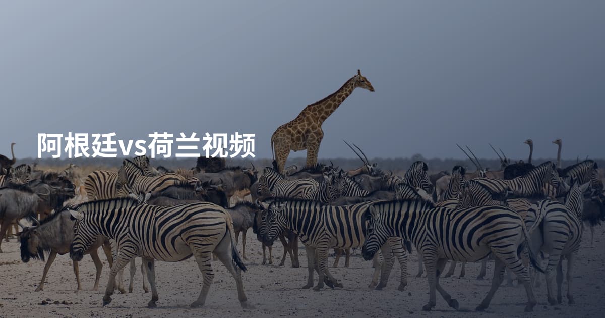 阿根廷vs荷兰视频