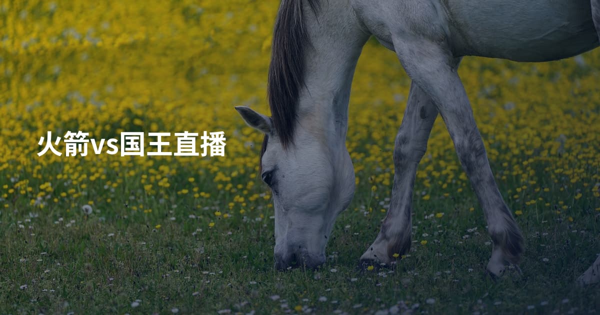 火箭vs国王直播