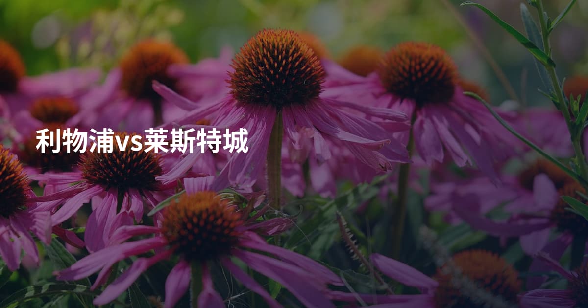 利物浦vs莱斯特城