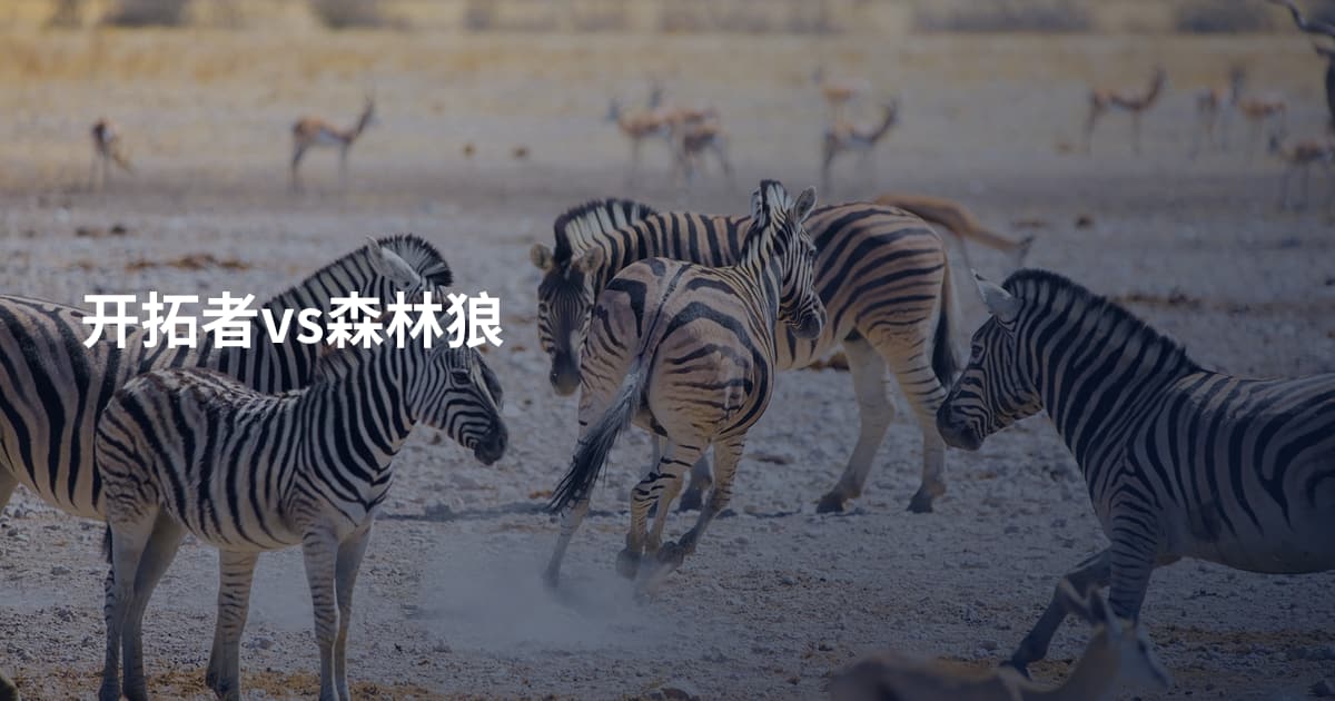 开拓者vs森林狼