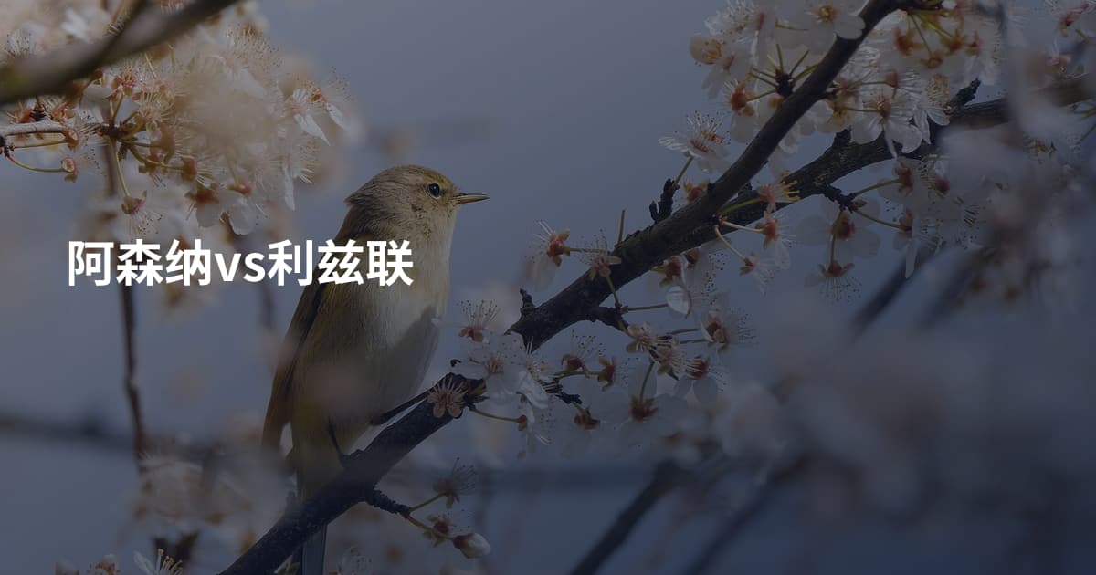 阿森纳vs利兹联
