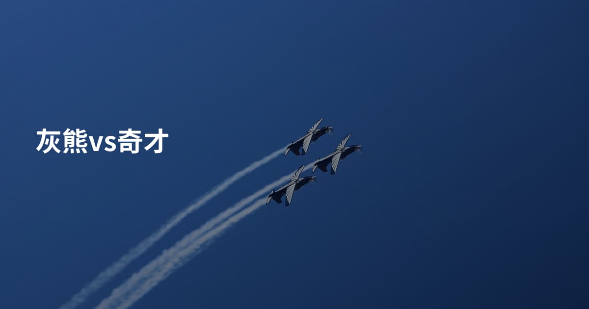 灰熊vs奇才