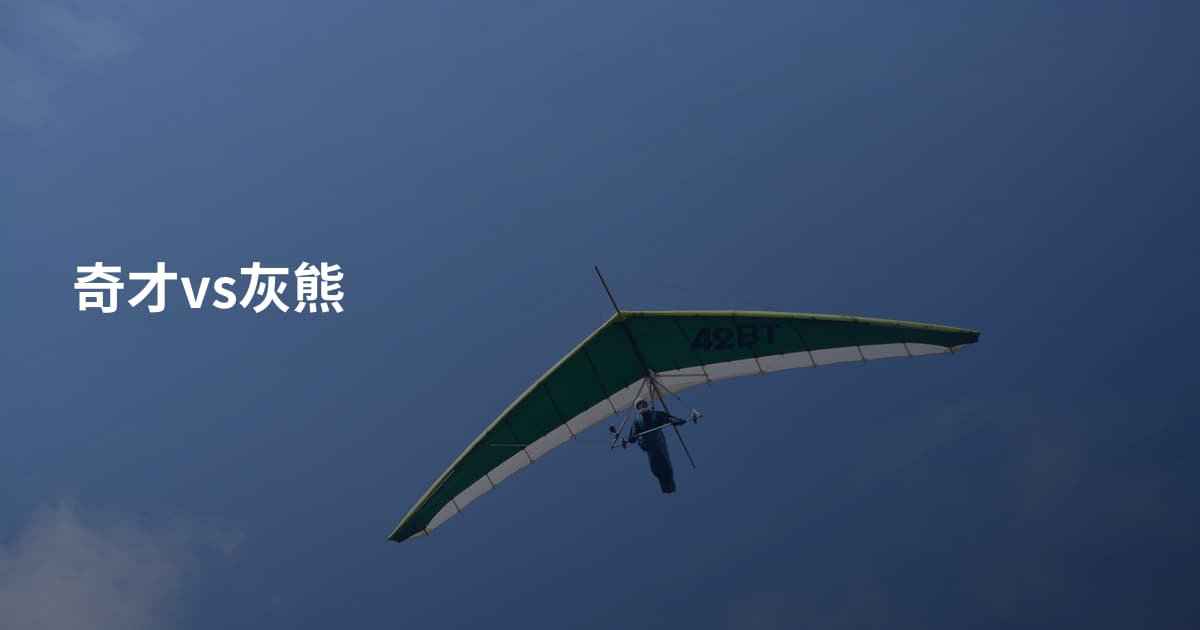 奇才vs灰熊