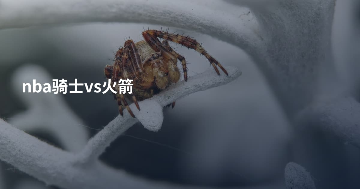 nba骑士vs火箭