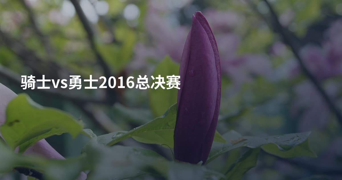 骑士vs勇士2016总决赛