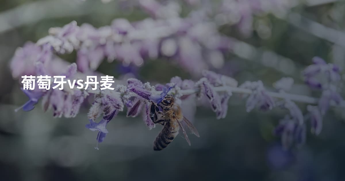 葡萄牙vs丹麦