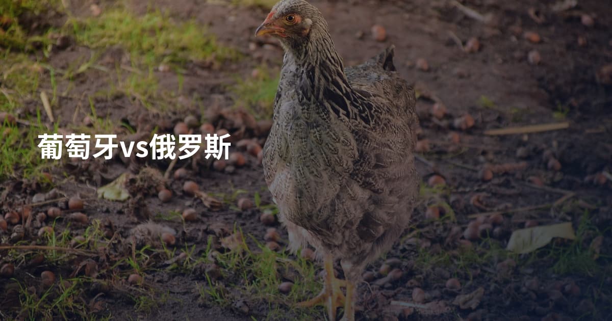 葡萄牙vs俄罗斯