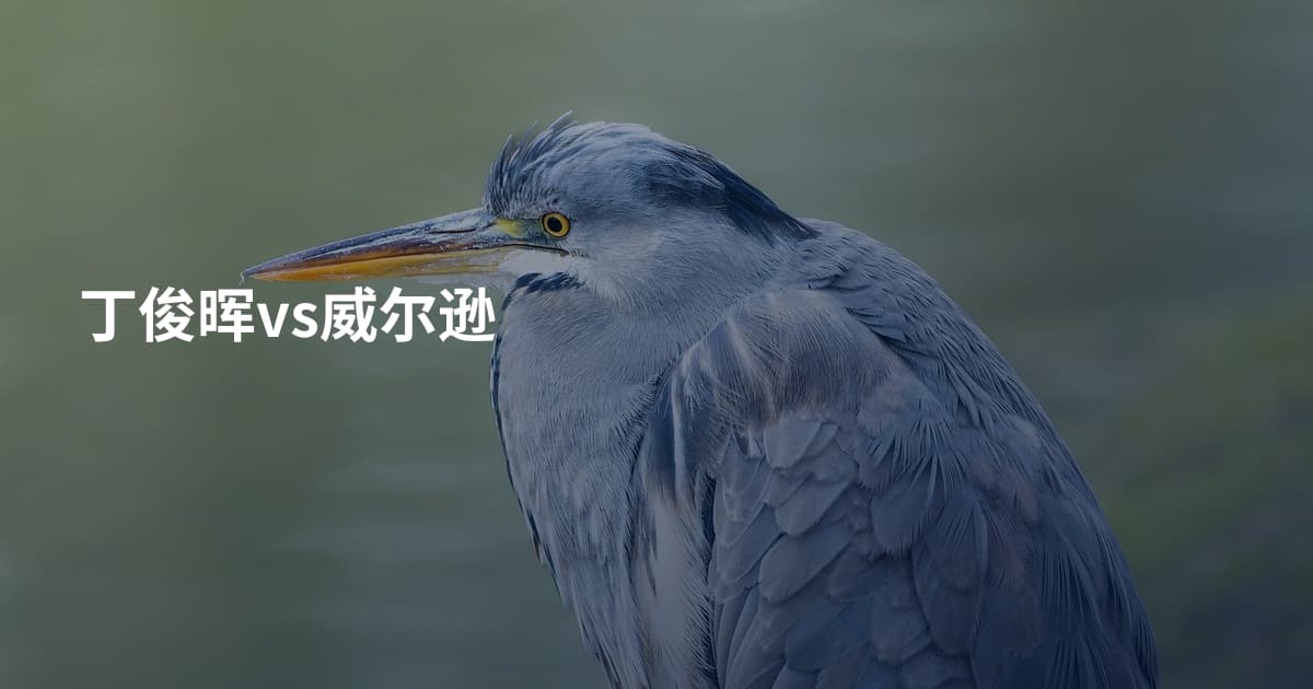 丁俊晖vs威尔逊