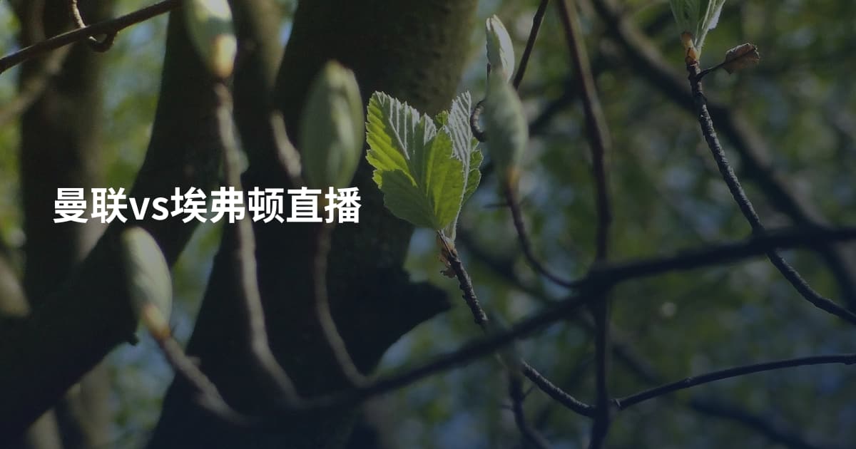 曼联vs埃弗顿直播