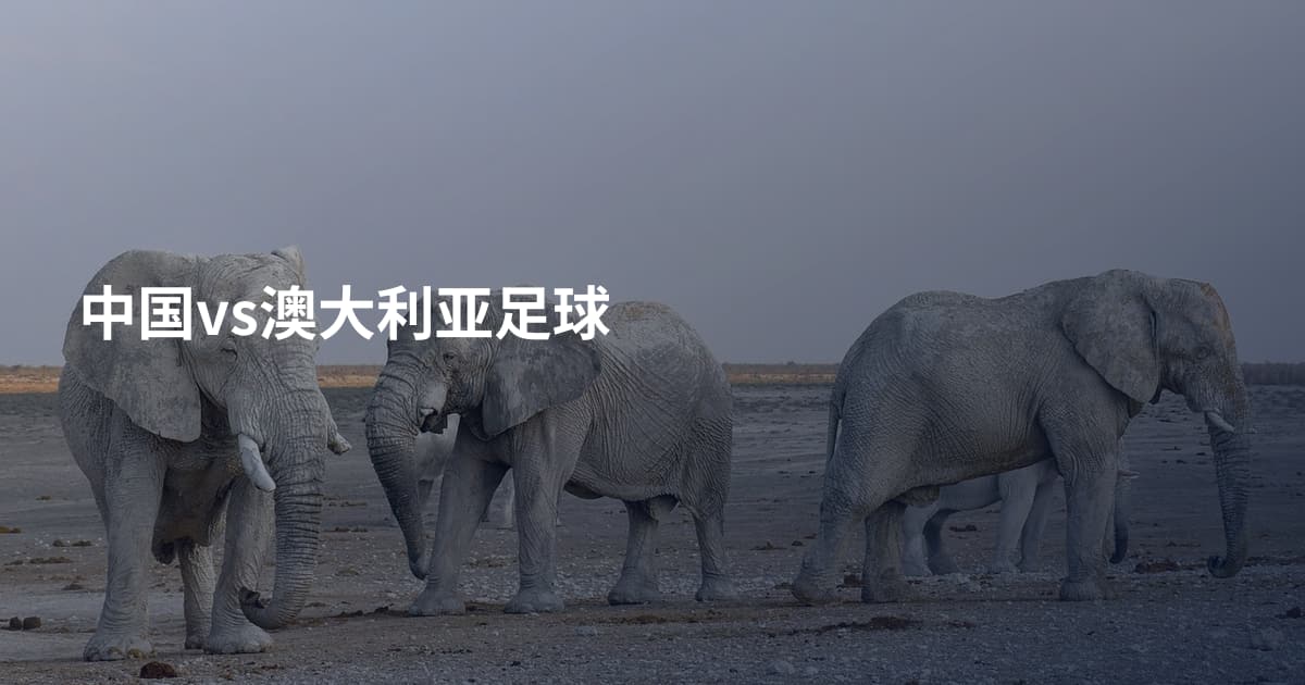 中国vs澳大利亚足球