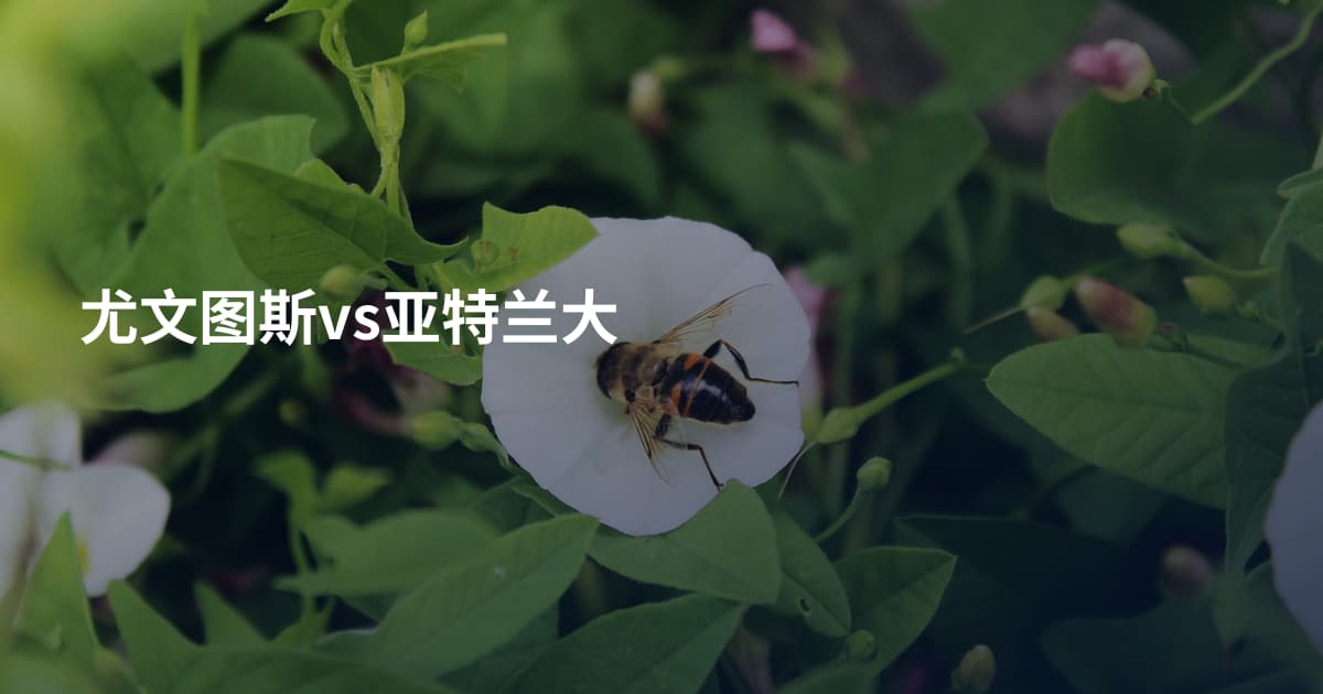 尤文图斯vs亚特兰大
