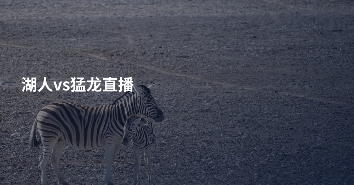 湖人vs猛龙直播