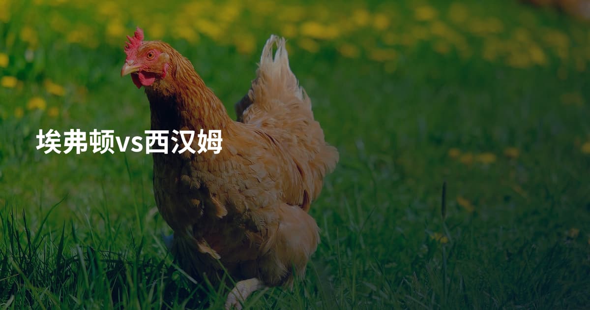 埃弗顿vs西汉姆