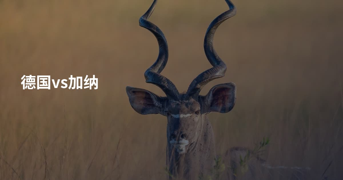 德国vs加纳