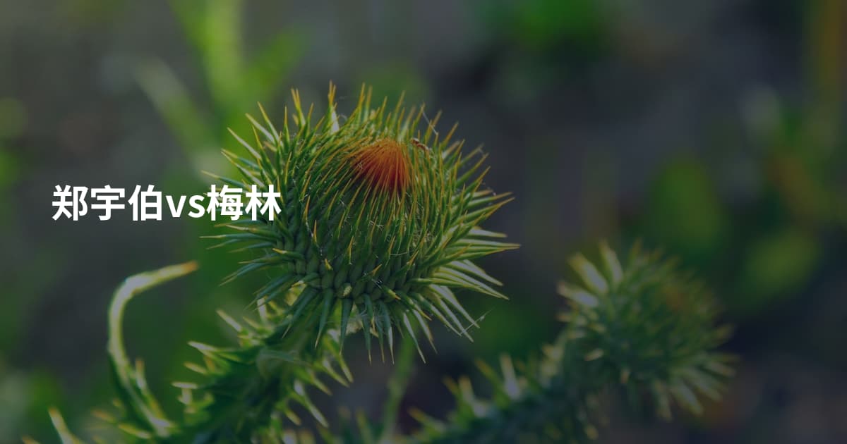 郑宇伯vs梅林