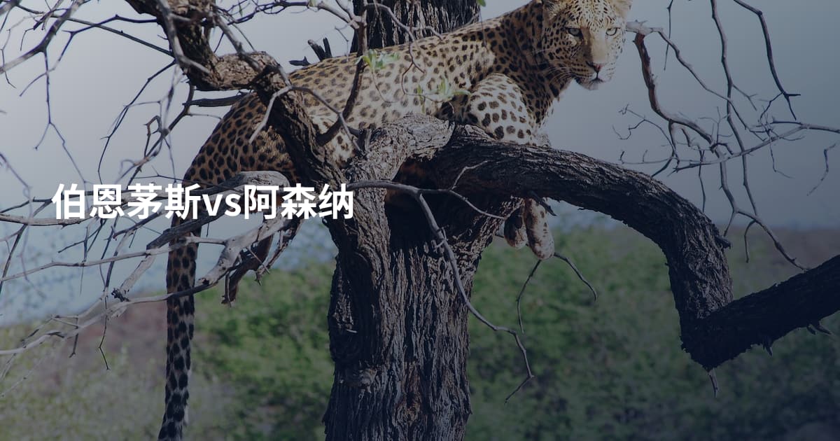 伯恩茅斯vs阿森纳