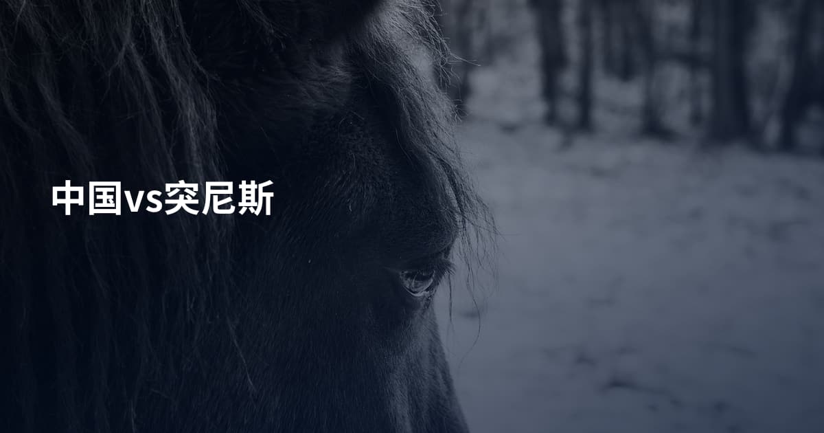 中国vs突尼斯