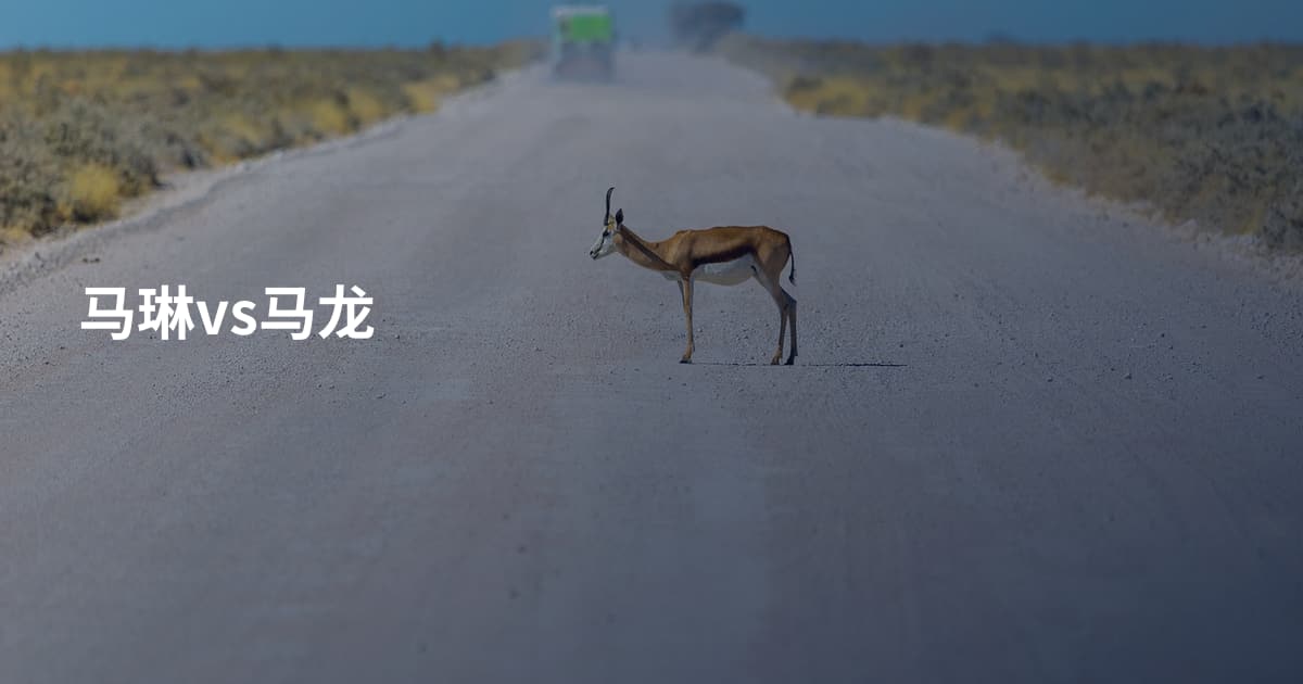 马琳vs马龙