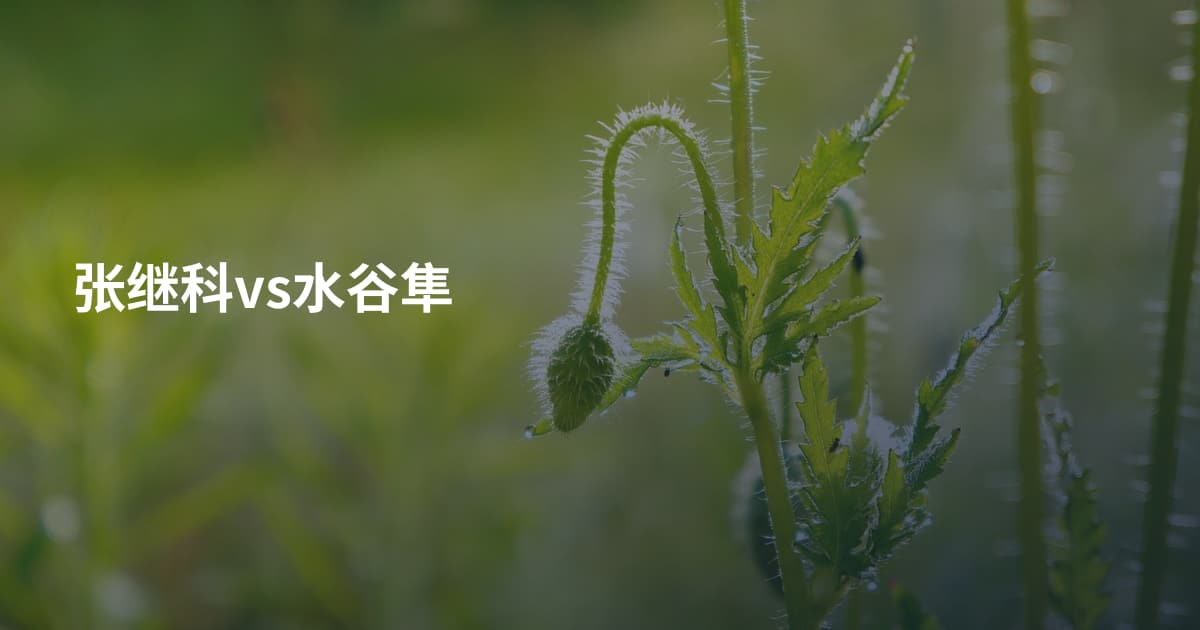 张继科vs水谷隼