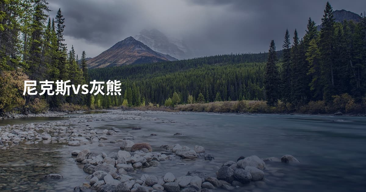 尼克斯vs灰熊